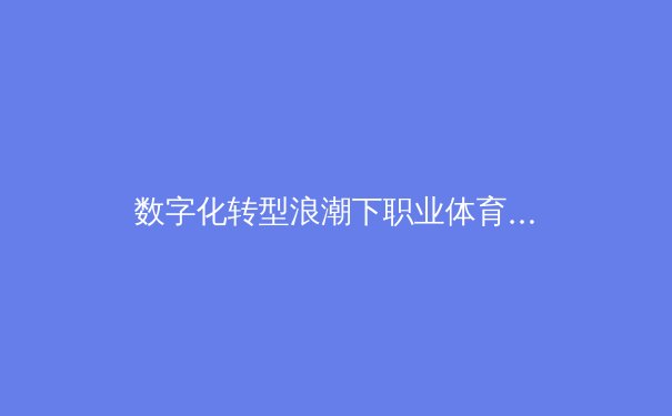 数字化转型浪潮下职业体育的传播革命与商业新生态 - 4